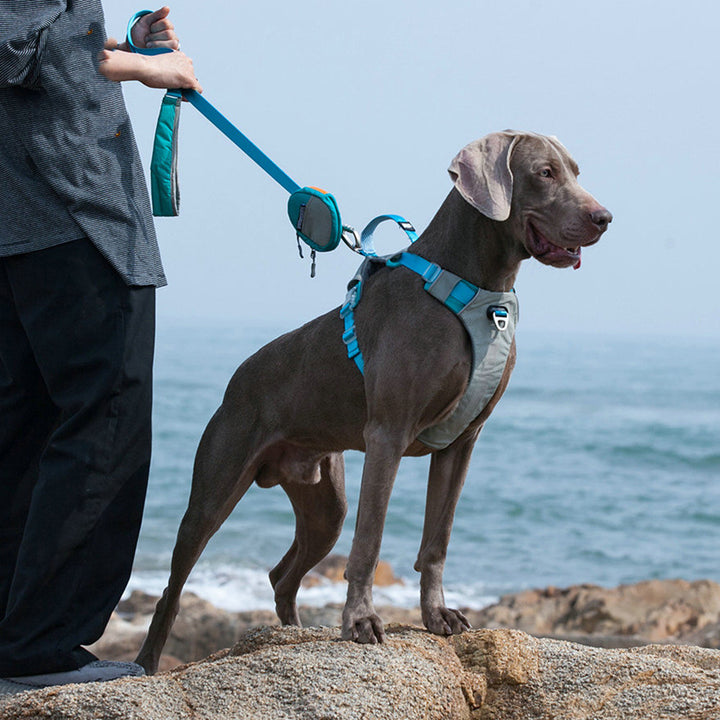 Heavy Duty Pet Chest Strap Harness With Storage Bag Leash Set
