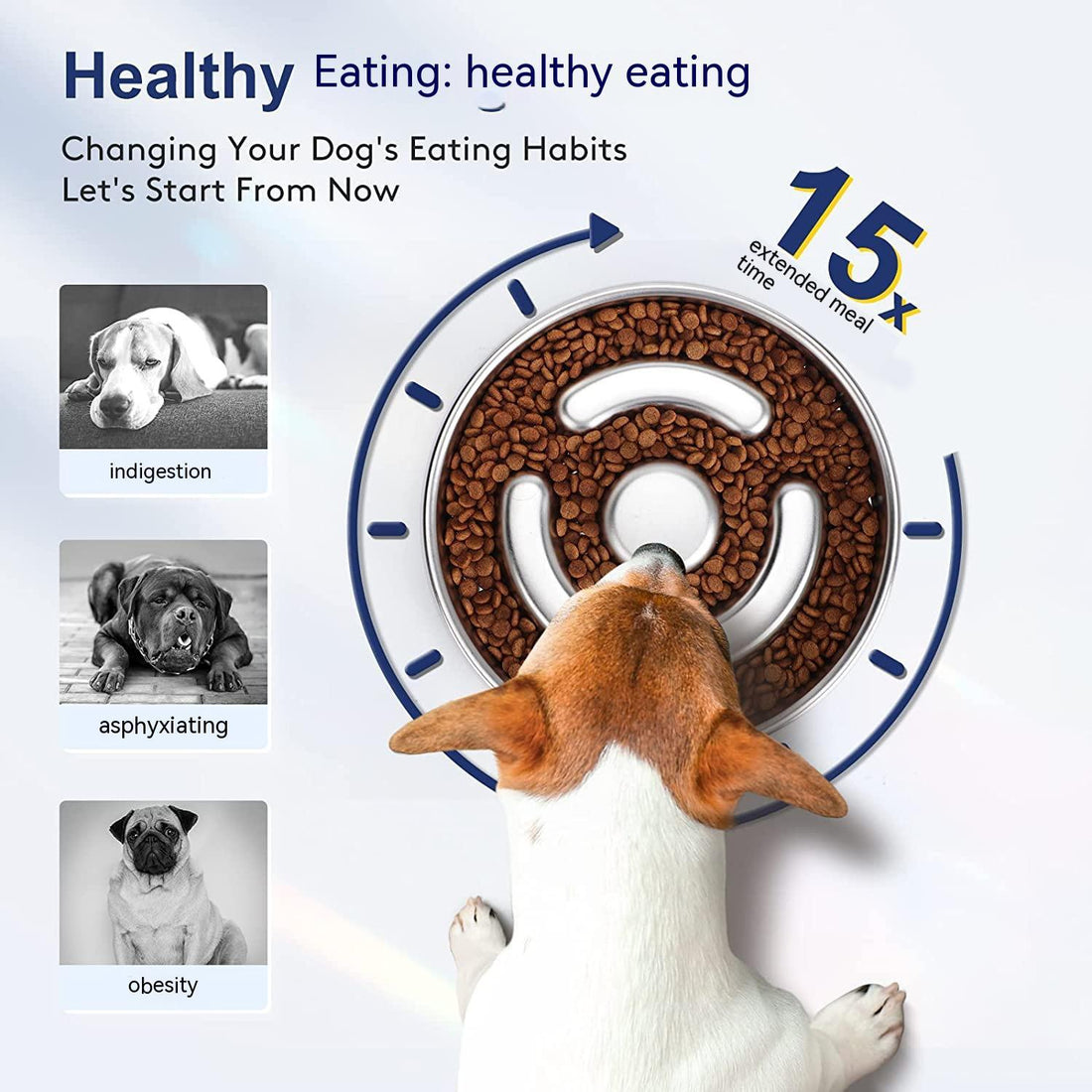 Stainless Steel Pet Slow Feeding Bowl With Neck Protector