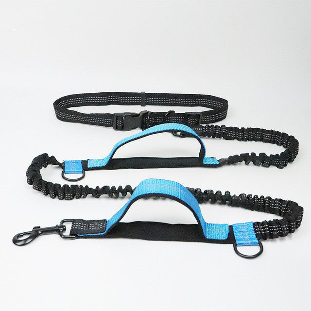 Adjustable Pet Harness Collar Jogging Leash Set