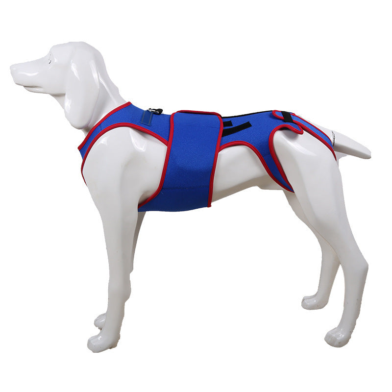 Pet Spine Support Posture Corrector Jacket Apparel
