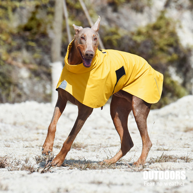Waterproof Windproof Pet Shell Rain Jacket