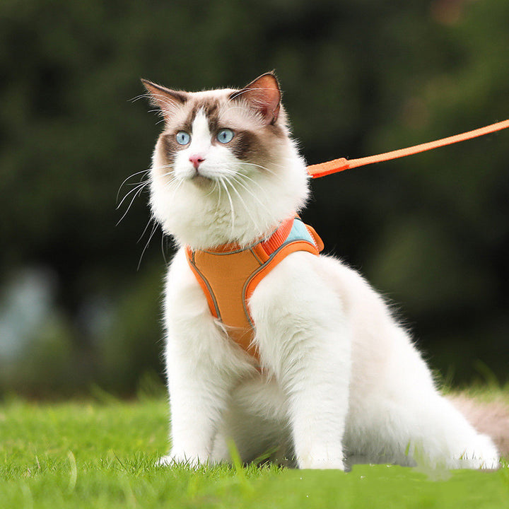 Anti Escape Reflective Pet Harness Leash Set