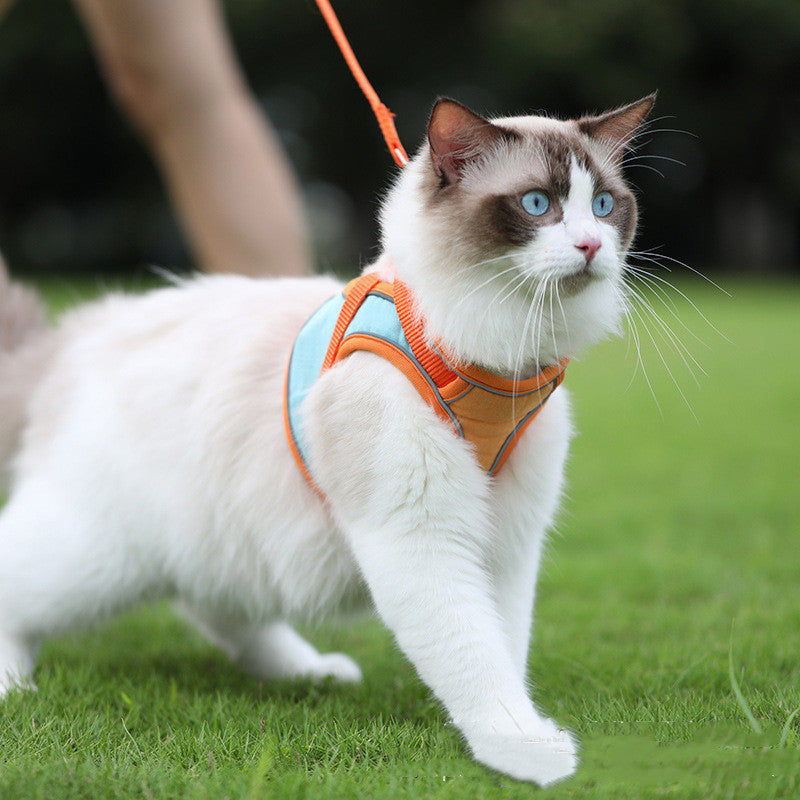 Anti Escape Reflective Pet Harness Leash Set