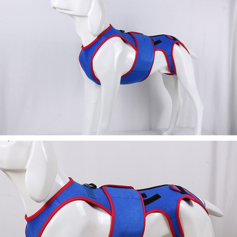 Pet Spine Support Posture Corrector Jacket Apparel