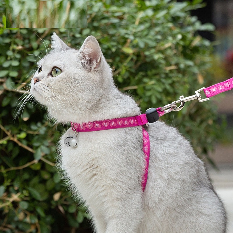 Bell Style Pet Chest Harness Leash Vest Set
